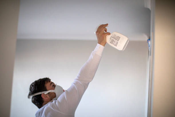 Best Mold Remediation Experts  in Lake Wilderness, VA