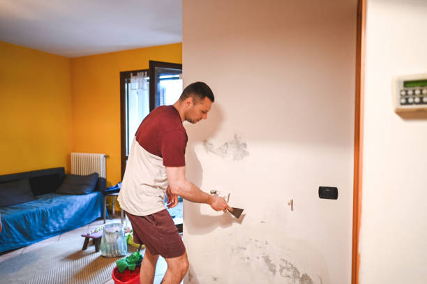 Best Same-Day Mold Removal  in Lake Wilderness, VA